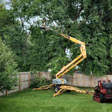 How Our Tree Care Process Works  in  Rising Sun Lebanon, DE